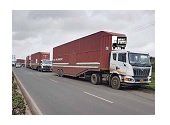 car transport Mumbai to Phagwara